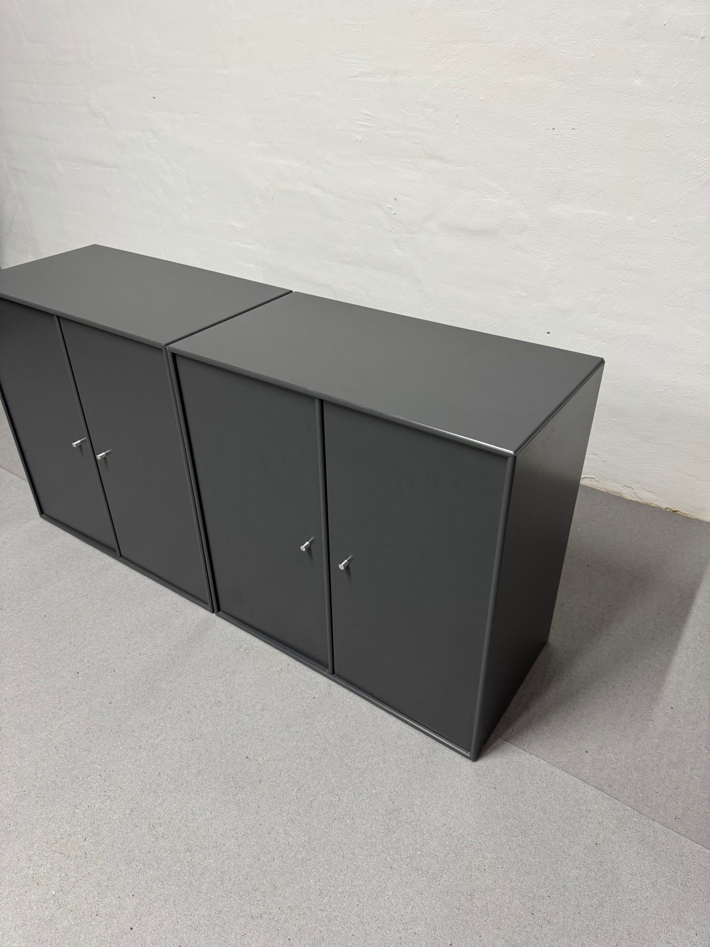 Peter J. Lassen, Montana reolmoduler.